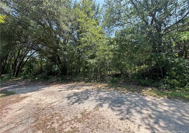 Homes for sale in Raeford, NC | Doby Dr, Raeford, NC 28376 | MLS# 765313