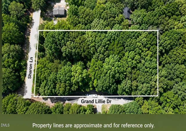 Homes for sale in Durham, NC | 7801 Grand Lillie Dr, Durham, NC 27712 | MLS# 10178513