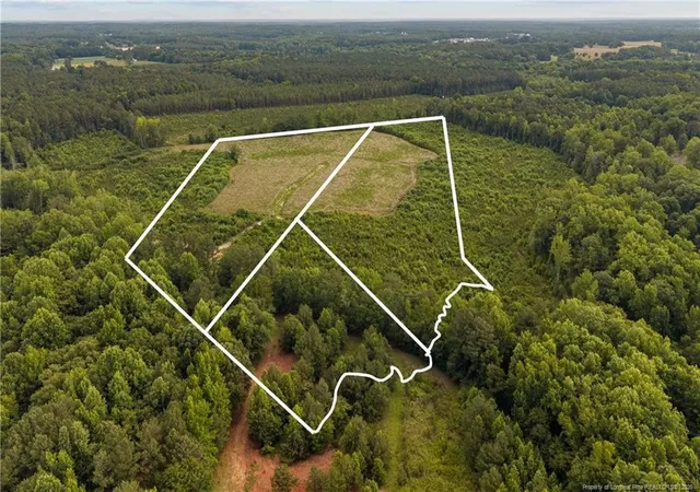 Homes for sale in Lillington, NC | Leaflet Church Rd, Lillington, NC 27546 | MLS# 765496