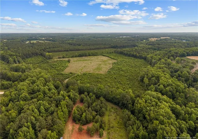 Homes for sale in Lillington, NC | Leaflet Church Rd, Lillington, NC 27546 | MLS# 765496