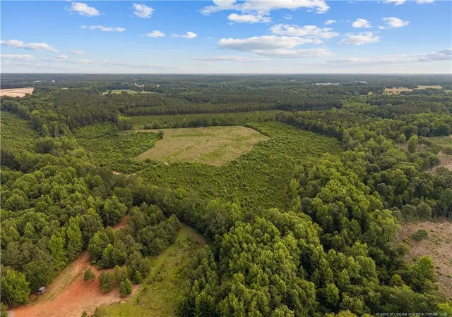 Homes for sale in Lillington, NC | Leaflet Church Rd, Lillington, NC 27546 | MLS# 765496