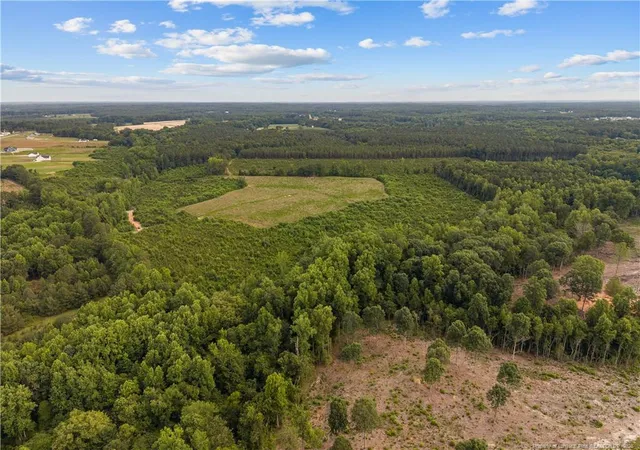 Homes for sale in Lillington, NC | Leaflet Church Rd, Lillington, NC 27546 | MLS# 765496