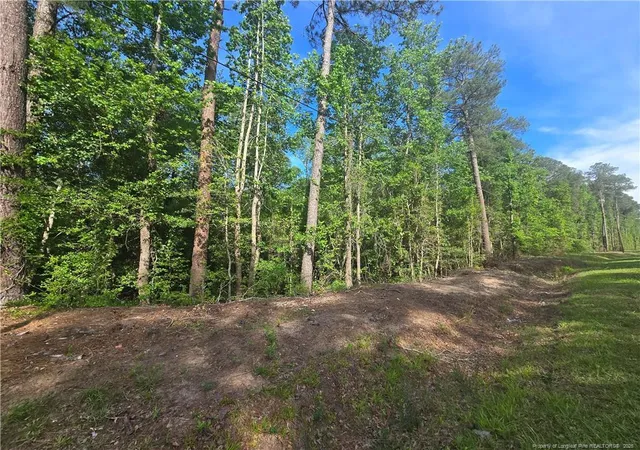 Homes for sale in Vass, NC | Tbd Cabins Creek Rd, Vass, NC 28394 | MLS# 765574