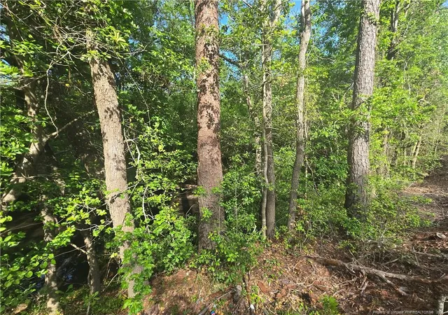Homes for sale in Vass, NC | Tbd Cabins Creek Rd, Vass, NC 28394 | MLS# 765574