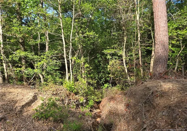 Homes for sale in Vass, NC | Tbd Cabins Creek Rd, Vass, NC 28394 | MLS# 765574