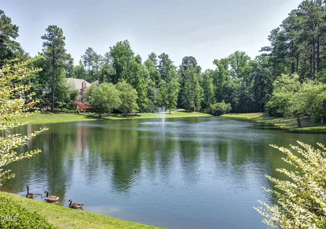 43rd image of 217 Old Dock Trl, Cary, NC 27519 | MLS# 10178697