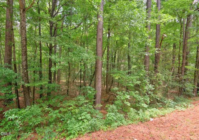 Photo 3 of Land for sale at 0000 Dodsons Xrds, Hillsborough, NC 27278 | MLS# 10178728 | Listing updated on 2026-10-01