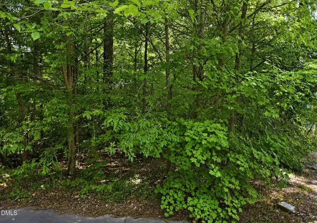Photo 15 of Land for sale at 0 Heather Ct, Franklinton, NC 27525 | MLS# 10178604 | Listing updated on 2026-09-01
