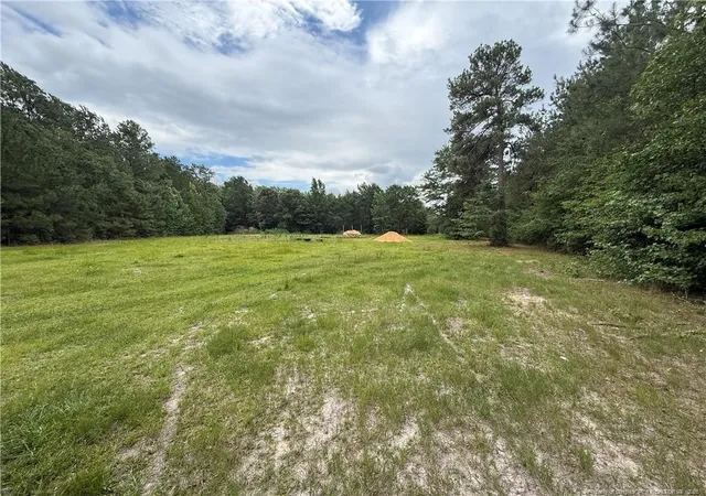 Homes for sale in Autryville, NC | 8476 Beaver Dam Rd, Autryville, NC 28318 | MLS# 765606