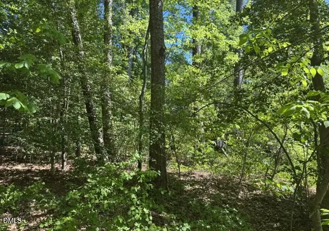 4th image of 0 Irish Blvd, Sanford, NC 27332 | MLS# 10178768