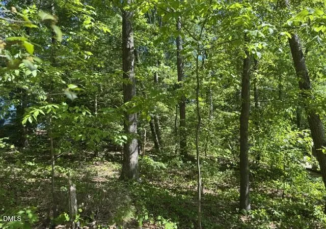 5th image of 0 Irish Blvd, Sanford, NC 27332 | MLS# 10178768