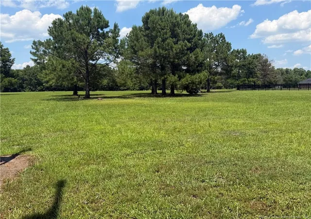 Photo 3 of Land for sale at Lt 94 Old Tower Rd, Lumberton, NC 28360 | MLS# 765653 | Listing updated on 2026-08-27