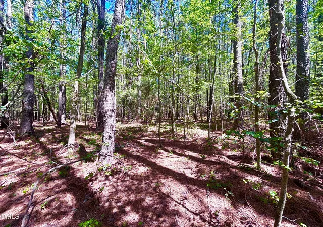 2nd image of 0 Pool Rock Plantation Ln, Henderson, NC 27537 | MLS# 10180058