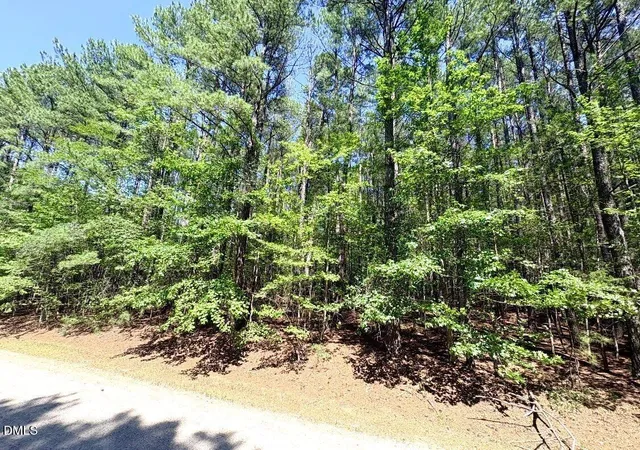9th image of 0 Pool Rock Plantation Ln, Henderson, NC 27537 | MLS# 10180058