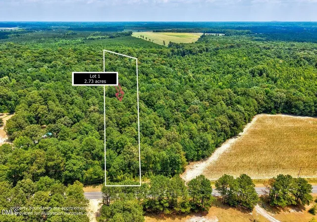 Homes for sale in Autryville, NC | Lot 1 Ruth Vinson Rd, Autryville, NC 28318 | MLS# 10178898