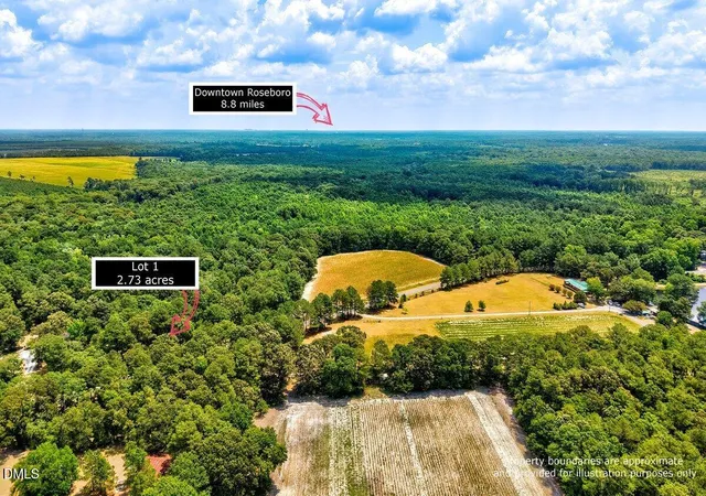 Homes for sale in Autryville, NC | Lot 1 Ruth Vinson Rd, Autryville, NC 28318 | MLS# 10178898