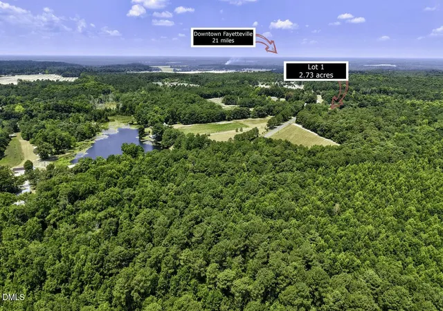 Homes for sale in Autryville, NC | Lot 1 Ruth Vinson Rd, Autryville, NC 28318 | MLS# 10178898