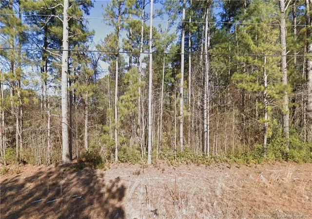 Homes for sale in Parkton, NC | W Parkton Tobermory Rd, Parkton, NC 28371 | MLS# 765696