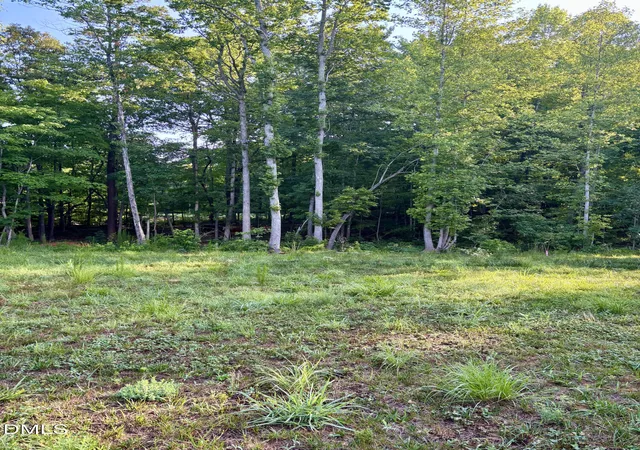 22nd image of 31 Izuba Day Dr, Timberlake, NC 27583 | MLS# 10179152