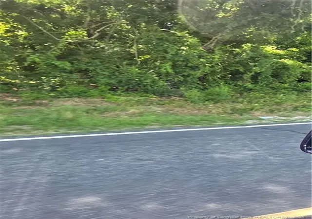 2nd image of Lakewood School Rd, Salemburg, NC 28385 | MLS# 765509