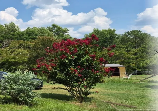 Photo 3 of Single family home for sale at 1011 Sweet Raspberry Ln, Lillington, NC 27546 | MLS# 765815 | Listing updated on 2026-08-05