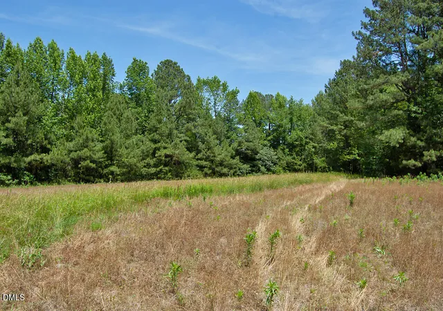Homes for sale in Louisburg, NC | A G F Ball Road, Louisburg, NC 27549 | MLS# 10179682