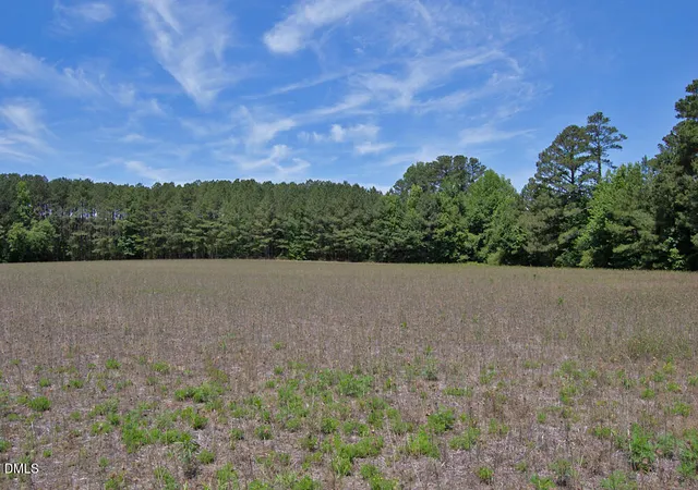 Homes for sale in Louisburg, NC | 1 G F Ball Road, Louisburg, NC 27549 | MLS# 10179684
