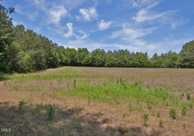 Homes for sale in Louisburg, NC | 1 G F Ball Road, Louisburg, NC 27549 | MLS# 10179684