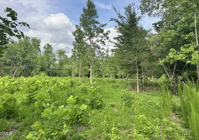 19th image of 2 Gray Rd, Timberlake, NC 27583 | MLS# 10180356