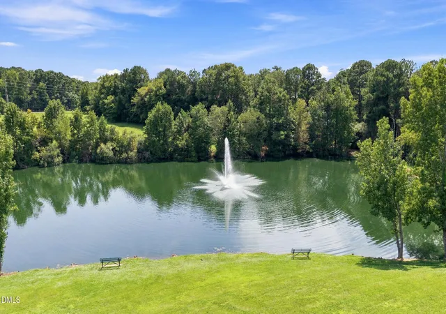 23rd image of 213 Avent Pines Ln, Holly Springs, NC 27540 | MLS# 10186285