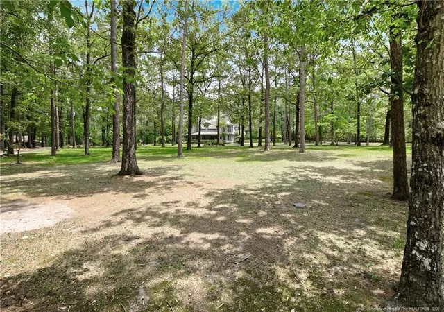 4th image of 4035 Spanish Oak Dr, Fayetteville, NC 28306 | MLS# 764074