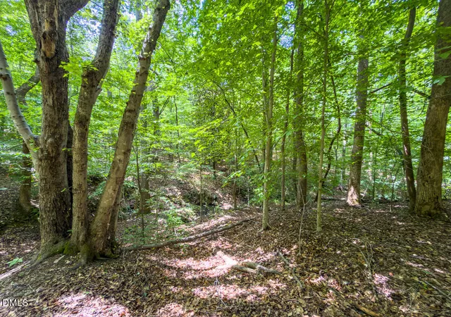 Photo 4 of Land for sale at 0 Park Springs Rd, Ruffin, NC 27326 | MLS# 10179995 | Listing updated on 2026-09-14