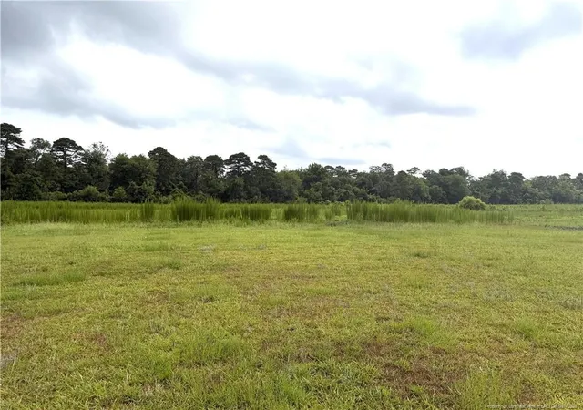Homes for sale in Elizabethtown, NC | 4107 Twisted Hickory Rd, Elizabethtown, NC 28337 | MLS# 765951