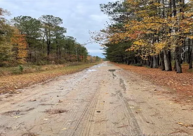 Homes for sale in Maxton, NC | Porcelain Ln, Maxton, NC 28364 | MLS# 765894