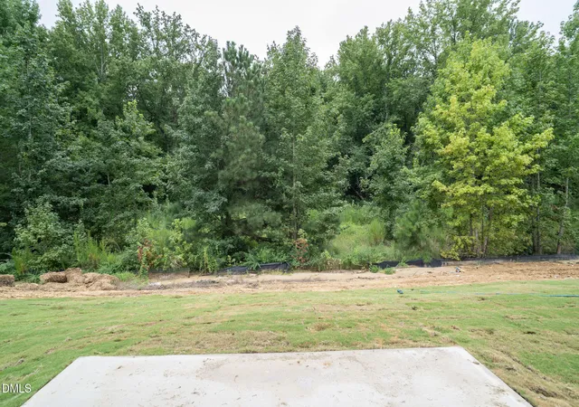Photo 4 of Single family home for sale at 116 Beadwood St, Wendell, NC 27591 | MLS# 10181567 | Listing updated on 2026-09-09