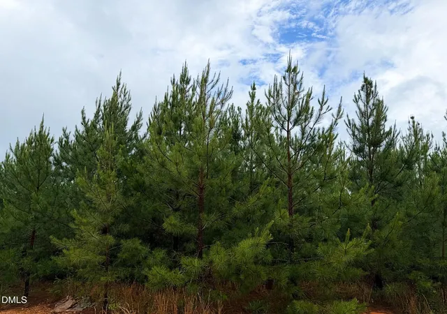 Photo 18 of Land for sale at 0 Spence Rd, Carthage, NC 28327 | MLS# 10180397 | Listing updated on 2026-07-18