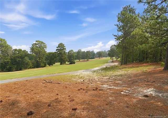 Photo 19 of Single family home for sale at 44 Richmond Rd, Jackson Springs, NC 27281 | MLS# 765983 | Listing updated on 2026-08-22