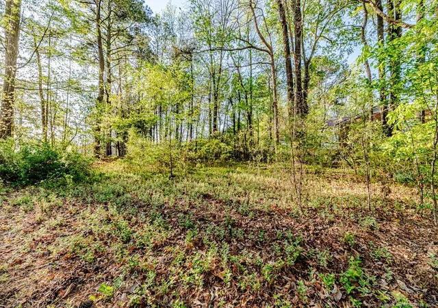 1st image of 0 Hillwood St, Sanford, NC 27330 | MLS# 766128