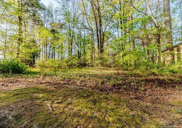 Photo 3 of Land for sale at 0 Hillwood St, Sanford, NC 27330 | MLS# 766128 | Listing updated on 2026-07-18