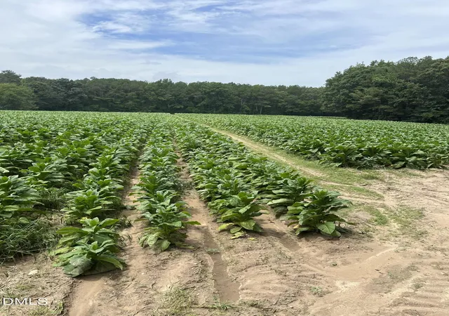 Photo 3 of Land for sale at 0 Off W Old Spring Hope Rd, Middlesex, NC 27557 | MLS# 10181001 | Listing updated on 2026-07-21
