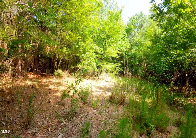 33rd image of 3 Bowden Rd, Turkey, NC 28393 | MLS# 10180914