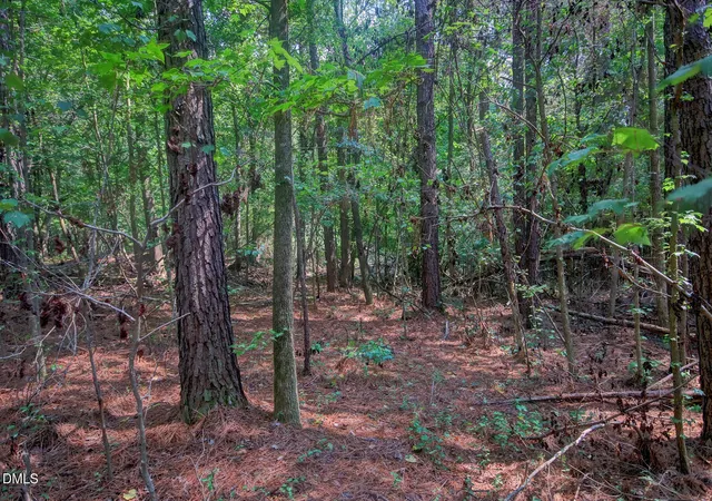 Photo 3 of Land for sale at 000 Rumley Rd, Graham, NC 27253 | MLS# 10181140 | Listing updated on 2026-08-21