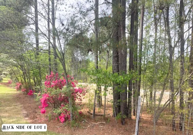 Photo 3 of Land for sale at 55 Weston Sky Ln, Fuquay Varina, NC 27526 | MLS# 10181452 | Listing updated on 2026-09-03