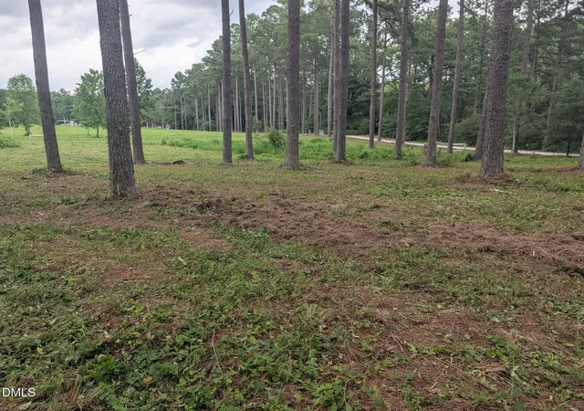 10th image of Tbd Peach Orchard Rd, Louisburg, NC 27549 | MLS# 10181568