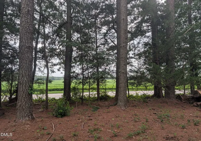 2nd image of Tbd Peach Orchard Rd, Louisburg, NC 27549 | MLS# 10181568