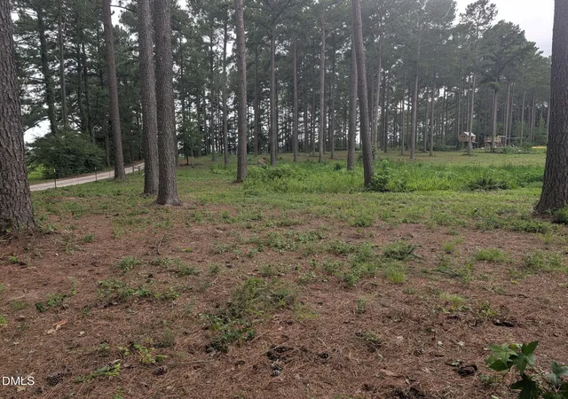 4th image of Tbd Peach Orchard Rd, Louisburg, NC 27549 | MLS# 10181568