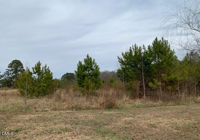 Photo 2 of Sale Pending at 0 Nc 210, Lillington, NC 27546 | MLS# 10181792 | Listing updated on 2026-07-27