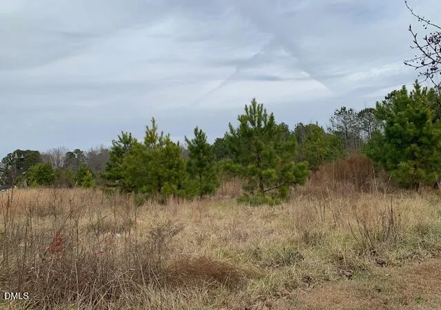 Photo 3 of Sale Pending at 0 Nc 210, Lillington, NC 27546 | MLS# 10181792 | Listing updated on 2026-07-27