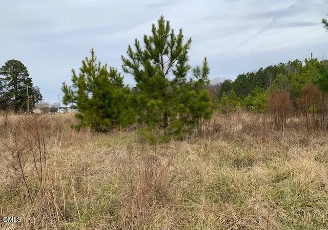 Photo 4 of Sale Pending at 0 Nc 210, Lillington, NC 27546 | MLS# 10181792 | Listing updated on 2026-07-27