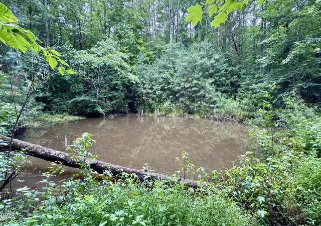 66th image of 95 Birch Creek Farm Ln, Franklinton, NC 27525 | MLS# 10182367
